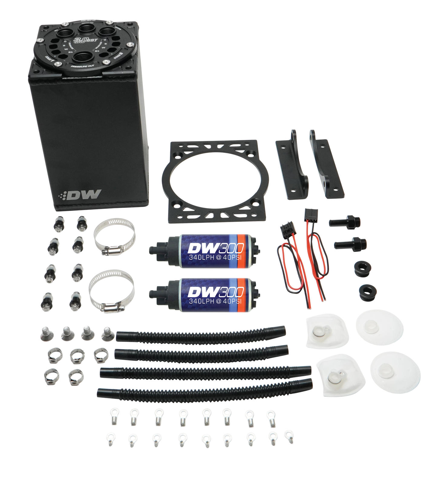 3.0L Surge Tank w/ Dual DW300 Pumps