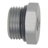 10AN ORB Plug Fitting with 1/8