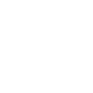 icon for Engineered for E85